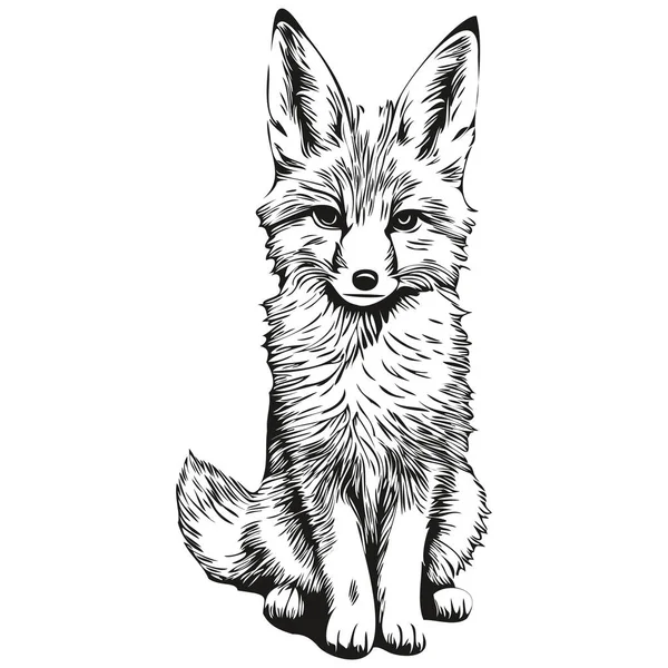 Διανυσματική Εικόνα Της Σιλουέτας Μιας Αλεπούς Λευκό Φόντο Fox — Διανυσματικό Αρχείο