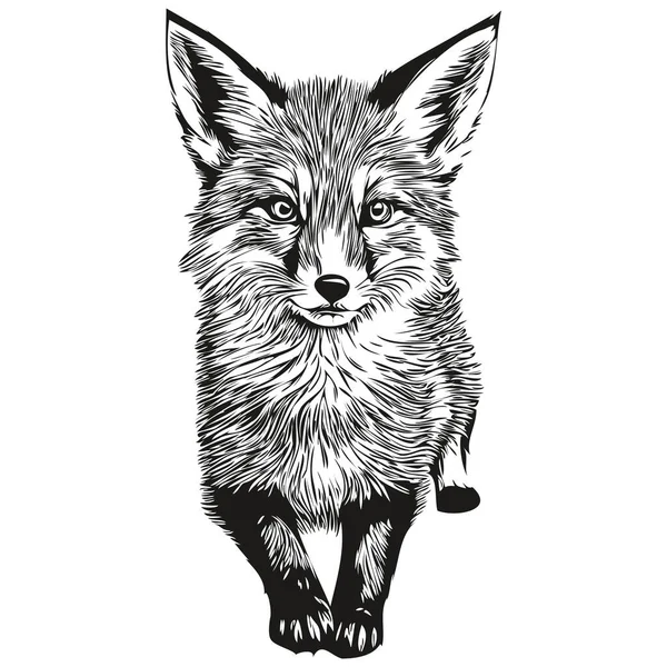 Vintage Engrave Isolated Fox Illustration Cut Ink Sketch Fox — Stock Vector