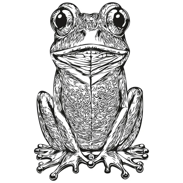 Vintage Engrave Isolated Frog Illustration Cut Ink Sketch Toa — Stock Vector