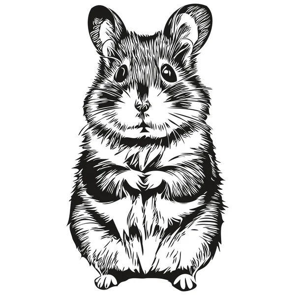 Hamster Vecteur Illustration Ligne Art Dessin Hamster Noir Blanc — Image vectorielle