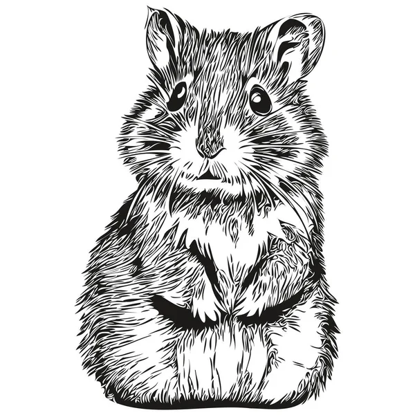 Hamster Vektör Çizim Çizgisi Siyah Beyaz Hamster Çiziyor — Stok Vektör