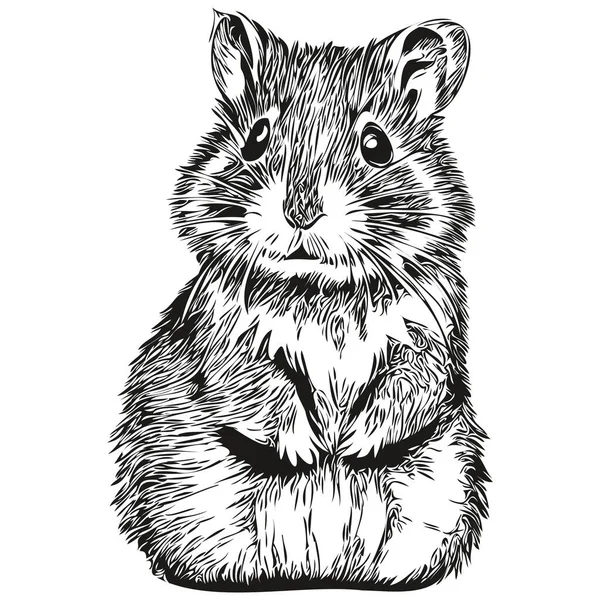 Hamster Vecteur Illustration Ligne Art Dessin Hamster Noir Blanc — Image vectorielle