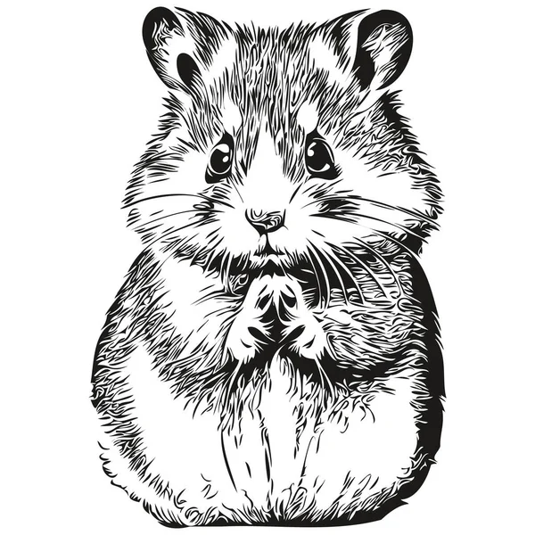 Hamster Dessiné Main Sur Fond Blanc Hamster — Image vectorielle