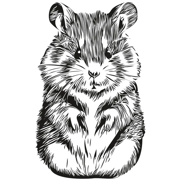Vecteur Hamster Réaliste Dessin Main Animal Illustration Hamster — Image vectorielle