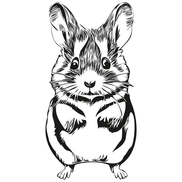 Vintage Graver Isolé Hamster Illustration Coupe Encre Croquis Hamster — Image vectorielle