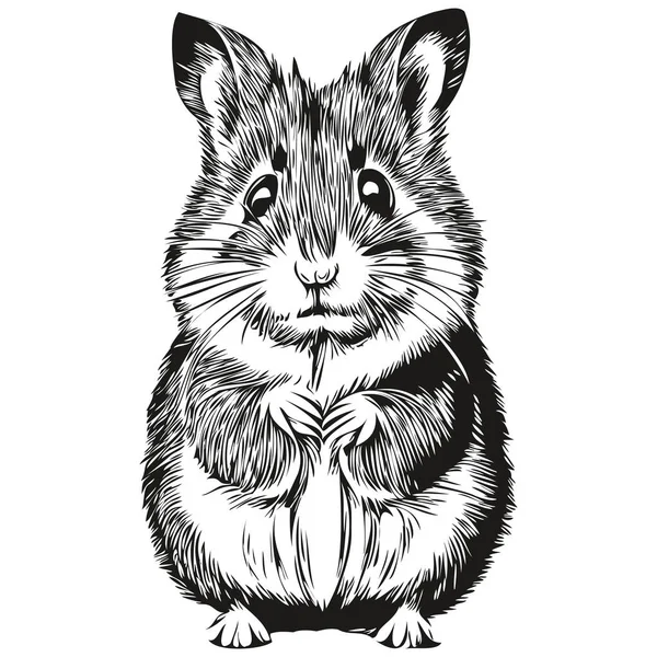 Image Vectorielle Silhouette Hamster Sur Fond Blanc Hamster — Image vectorielle