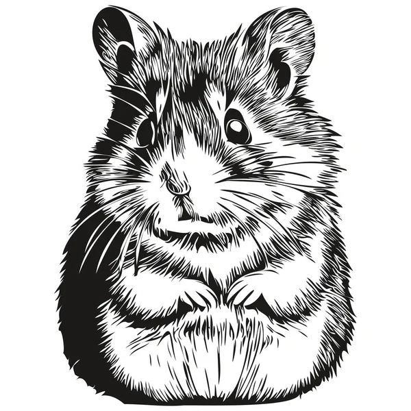 Peinture Linéaire Noir Blanc Dessin Hamster Vecteur Illustration Hamster — Image vectorielle