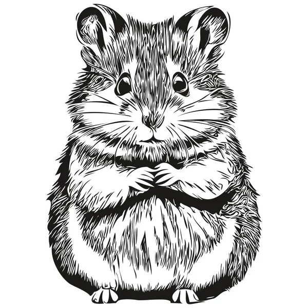 Hamster Mignon Sur Fond Blanc Dessin Main Hamster Illustration — Image vectorielle