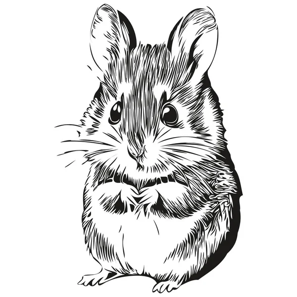 Mignon Hamster Dessiné Main Illustration Vectorielle Hamster Noir Blanc — Image vectorielle