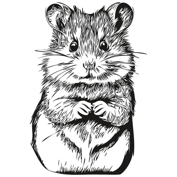 Affiche Pépinière Dessinée Main Pour Enfants Avec Hamster Animal Hamster — Image vectorielle