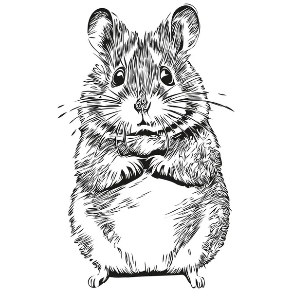 Funny Cartoon Hamster Line Art Illustration Ink Sketch Hamster — Stockový vektor