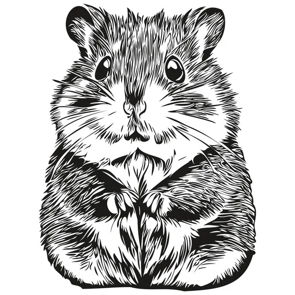 Hamster Illustration Vintage Hamster Art Vectoriel Noir Blanc — Image vectorielle