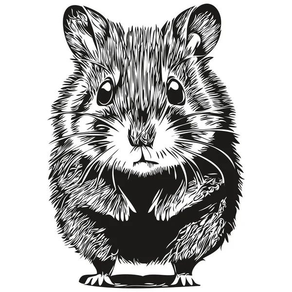 Logo Hamster Illustration Noir Blanc Dessin Main Hamster — Image vectorielle