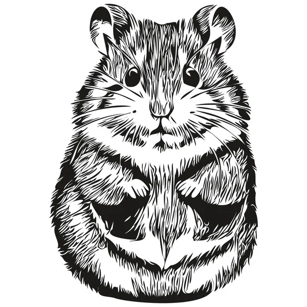 Croquis Hamster Contour Avec Fond Transparent Dessin Main Hamster Illustration — Image vectorielle
