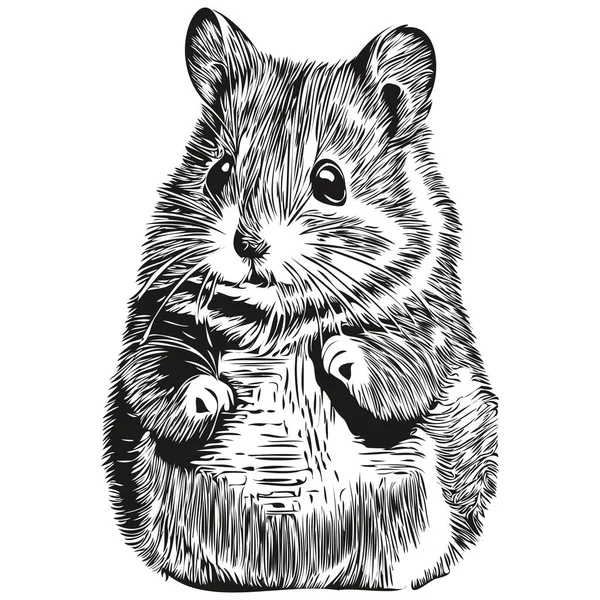 Croquis Hamster Dessin Main Faune Style Gravure Vintage Illustration Vectorielle — Image vectorielle
