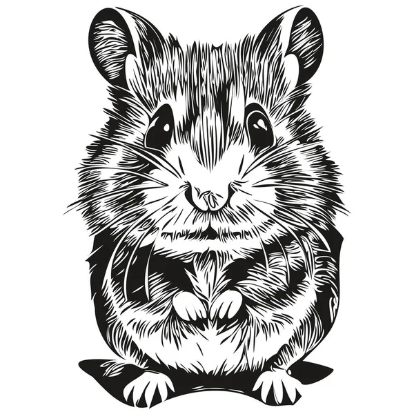 Hamster Croquis Portrait Graphique Hamster Sur Fond Blanc Hamster — Image vectorielle