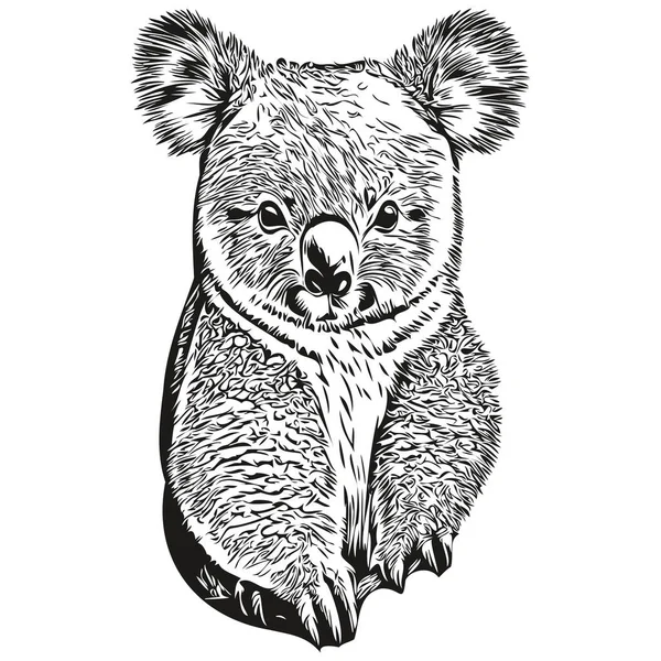 Koala Διανυσματική Εικονογράφηση Γραμμή Τέχνης Σχέδιο Μαύρο Και Άσπρο Koala — Διανυσματικό Αρχείο