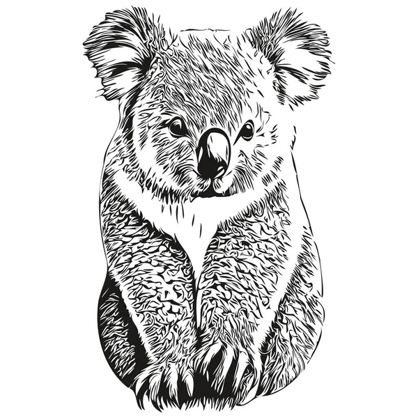 Realistische Koala Vector Met Hand Getekend Dierlijke Illustratie Koala Bea — Stockvector