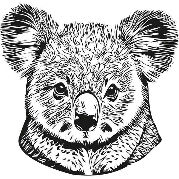 Realistische Koala Vector Met Hand Getekend Dierlijke Illustratie Koala Bea — Stockvector