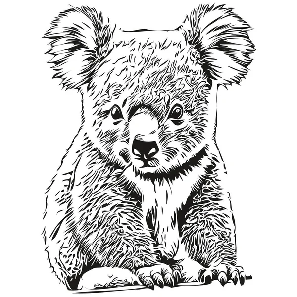 Διανυσματική Εικόνα Της Σιλουέτας Ενός Koala Λευκό Φόντο Koala Bea — Διανυσματικό Αρχείο