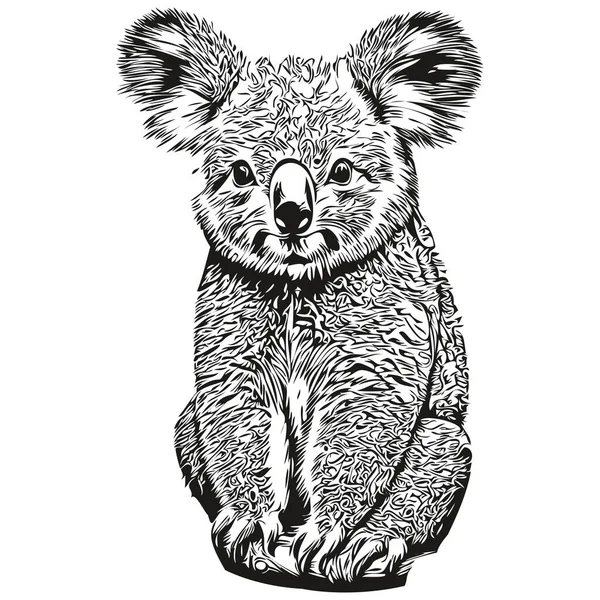 Vintage Grawerować Odizolowany Koala Ilustracja Wyciąć Atrament Szkic Koala Bea — Wektor stockowy