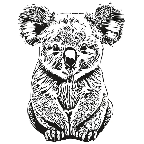Czarno Białe Liniowe Farby Rysować Koala Wektor Ilustracja Koala Bea — Wektor stockowy