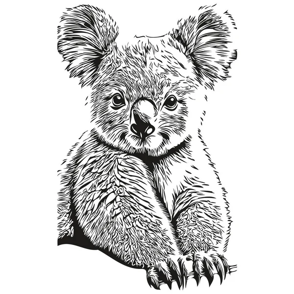 Zwart Wit Lineaire Verf Tekenen Koala Vector Illustratie Koala Bea — Stockvector