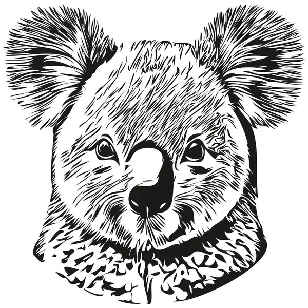 Χαριτωμένο Χέρι Που Koala Διανυσματική Απεικόνιση Μαύρο Και Άσπρο Koala — Διανυσματικό Αρχείο