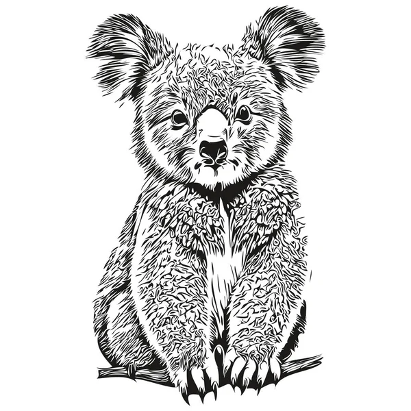 Schattige Koala Witte Achtergrond Met Hand Tekenen Illustratie Koala Bea — Stockvector