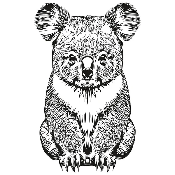 Engrave Koala Εικονογράφηση Vintage Χέρι Σχέδιο Στυλ Koala Bea — Διανυσματικό Αρχείο
