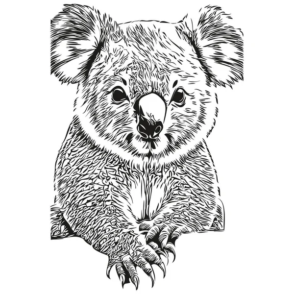 Смешная Карикатура Koala Строка Иллюстрации Чернила Эскиз Коала Беа — стоковый вектор