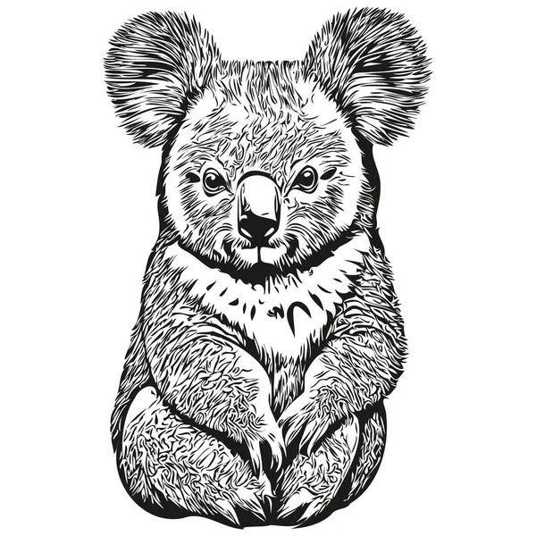 Koala Logo Zwart Wit Illustratie Handtekening Koala Bea — Stockvector