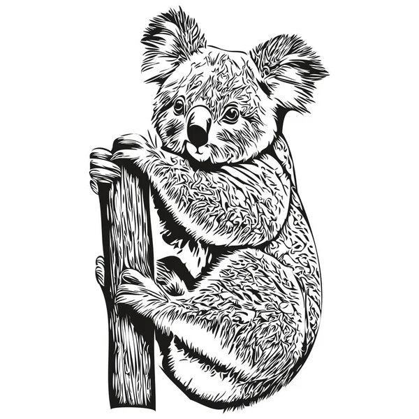 Λογότυπο Koala Ασπρόμαυρη Απεικόνιση Χέρι Σχέδιο Koala Bea — Διανυσματικό Αρχείο