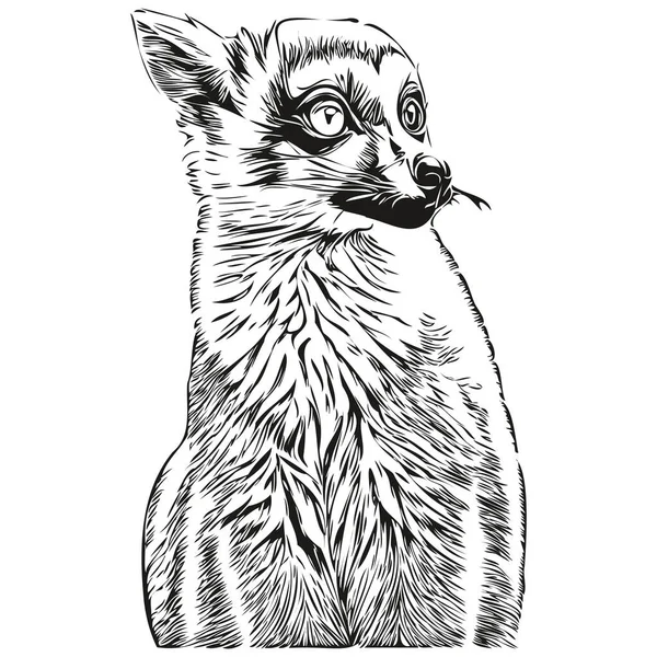 Lemur Vector Illustration Line Art Drawing Black White Lemur — Stock Vector
