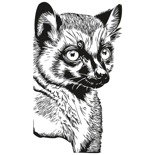 Vintage Gravyr Isolerad Lemur Illustration Skära Bläck Skiss Lemur — Stock vektor