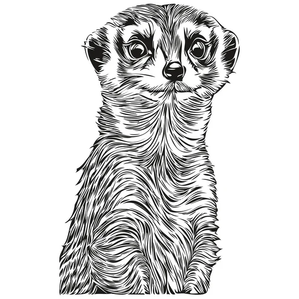 Vintage Engrave Απομονωμένη Απεικόνιση Meerkat Κομμένα Μελάνι Σκίτσο Meerkat — Διανυσματικό Αρχείο