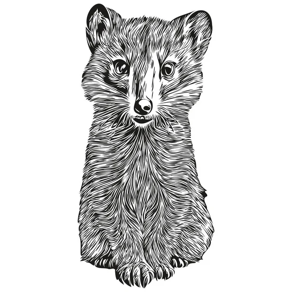 Ручной Рисунок Mongoose Белом Фоне Mongoose — стоковый вектор