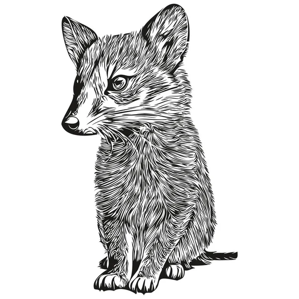 Mongoose Logo Black White Illustration Hand Drawing Mongoose — Stock Vector