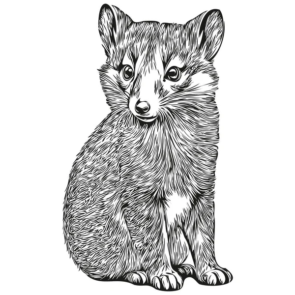 Vecteur Mongoose Réaliste Illustration Animale Dessinée Main Mongoose — Image vectorielle