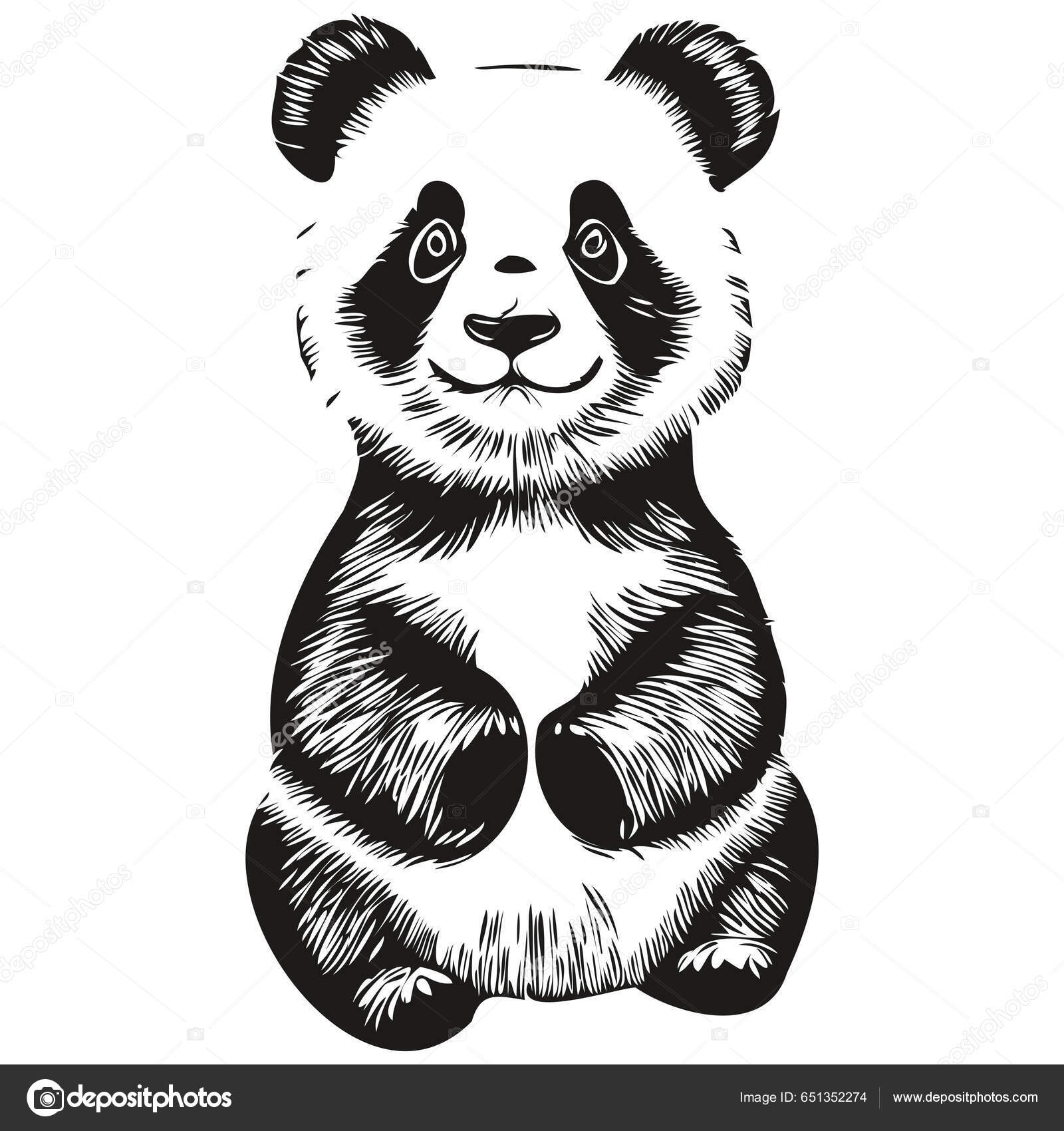 Esboço realista vetorial da figura do panda em ilustração desenhada à mão  de corpo inteiro