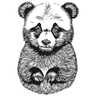 Güzel el çizimi Panda, vektör çizimi siyah ve beyaz panda.