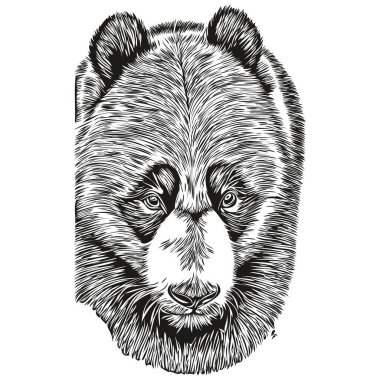 Panda 'nın eski el çizim tarzını resmetmek için Panda