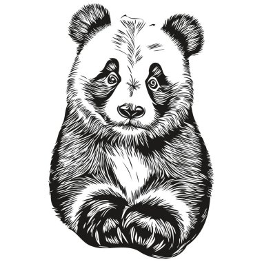Panda vintage illüstrasyon, siyah beyaz vektör sanatı Panda