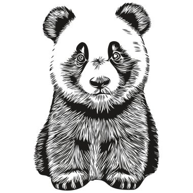 Panda logosu, siyah beyaz çizim el panda çizimi.