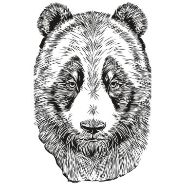 Klasik oyma, izole edilmiş panda çizimi, mürekkep kesimi panda çizimi.