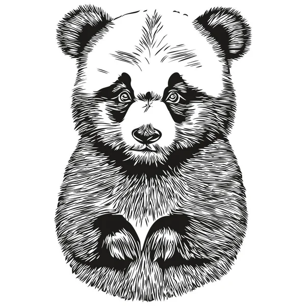 Niedlicher Handgezeichneter Panda Vektorillustration Schwarz Weißer Panda — Stockvektor