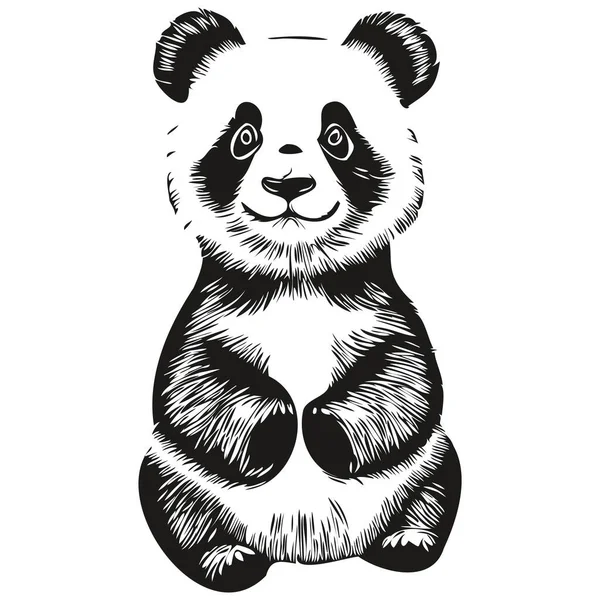 Vetores de Desenho Panda Rosto Padrão Perfeito Fundo Rosa Infantil Bonito  Com Rosto De Urso Panda Kawaii E Folhas De Bambu e mais imagens de Panda -  Mamífero de quatro patas - iStock