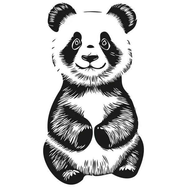 Lindo Panda Sobre Fondo Blanco Ilustración Dibujo Mano Panda — Vector de stock