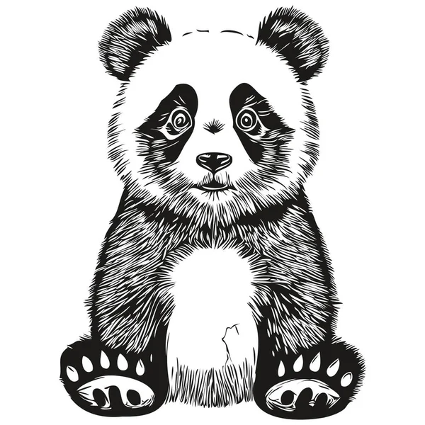 Lindo Panda Sobre Fondo Blanco Ilustración Dibujo Mano Panda — Vector de stock