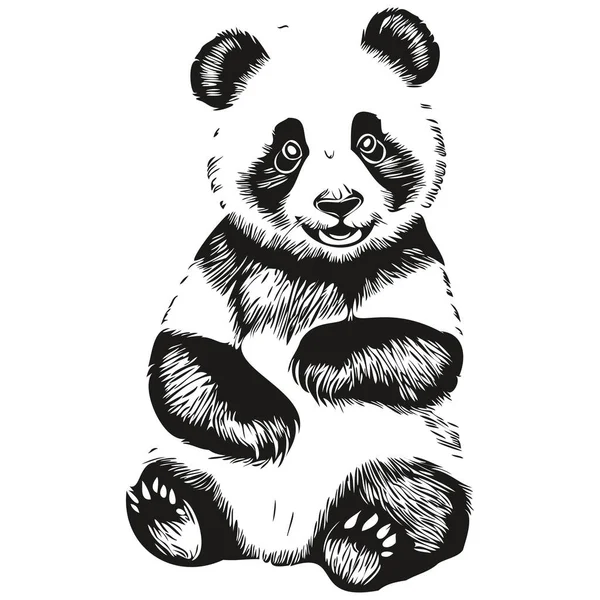 Grabar Panda Ilustración Estilo Dibujo Mano Vintage Panda — Vector de stock